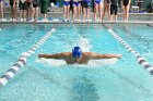 Swimming vs Babson  Wheaton College Swimming vs Babson College. - Photo By: KEITH NORDSTROM : Wheaton, Swimming, Babson